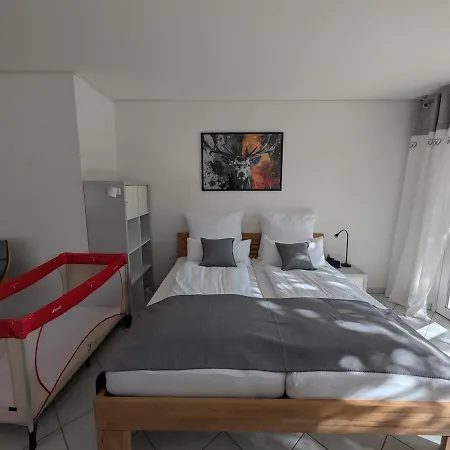 Apartment Hirsch Sinzheim