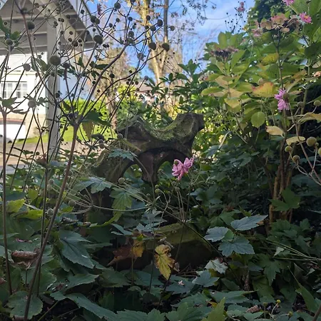 Hirsch Apartment Sinzheim