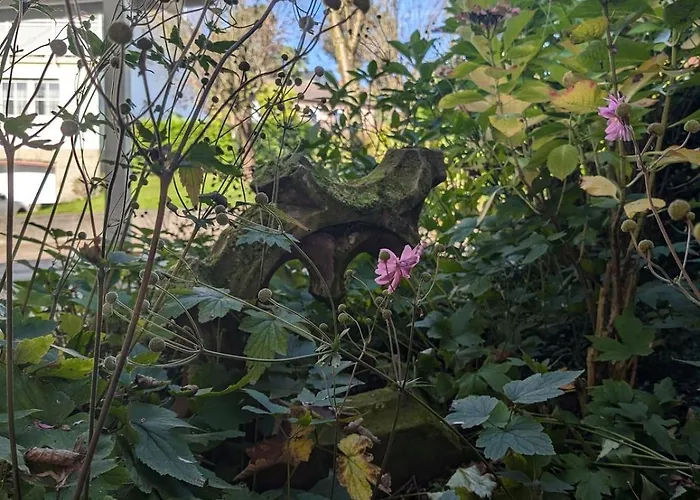 Hirsch Appartement Sinzheim